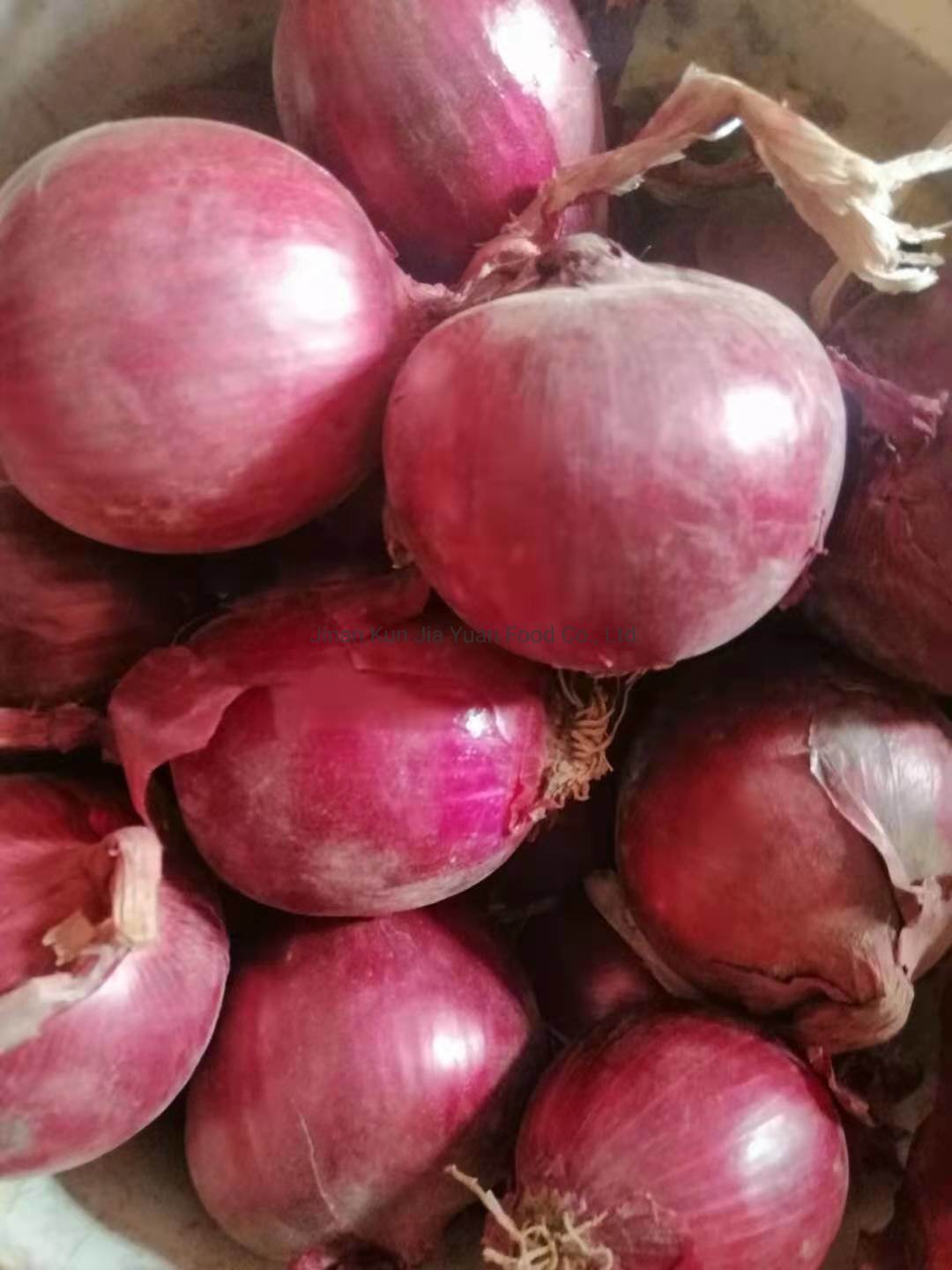 Кракен оф сайт